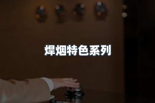 焊烟特色系列